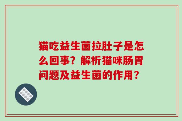 猫吃益生菌拉肚子是怎么回事？解析猫咪肠胃问题及益生菌的作用？