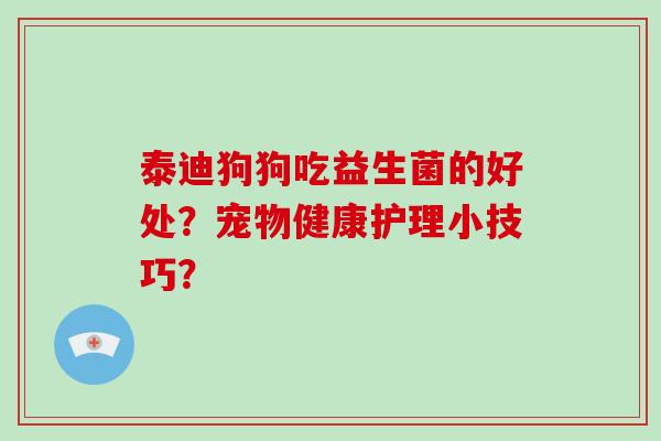 泰迪狗狗吃益生菌的好处？宠物健康护理小技巧？