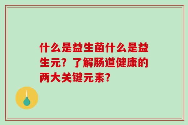 什么是益生菌什么是益生元？了解肠道健康的两大关键元素？