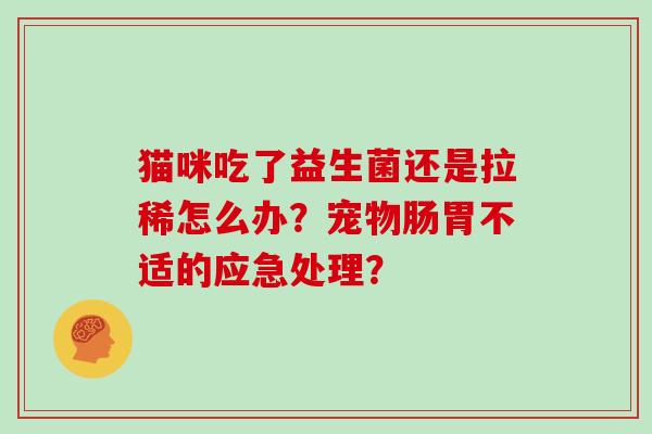 猫咪吃了益生菌还是拉稀怎么办？宠物肠胃不适的应急处理？