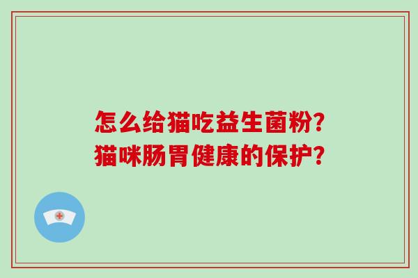 怎么给猫吃益生菌粉？猫咪肠胃健康的保护？