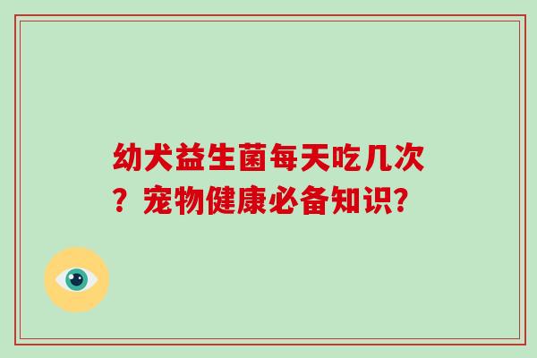 幼犬益生菌每天吃几次？宠物健康必备知识？