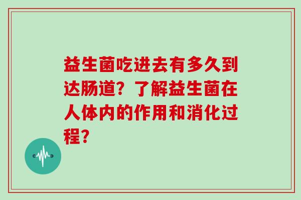 益生菌吃进去有多久到达肠道？了解益生菌在人体内的作用和消化过程？