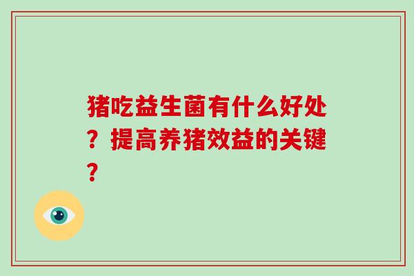 猪吃益生菌有什么好处?提高养猪效益的关键? 猪吃益生菌有什么好处?提高养猪效益的关键?