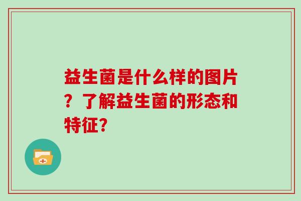 益生菌是什么样的图片?了解益生菌的形态和特征? 益生菌是什么样的图片?了解益生菌的形态和特征?