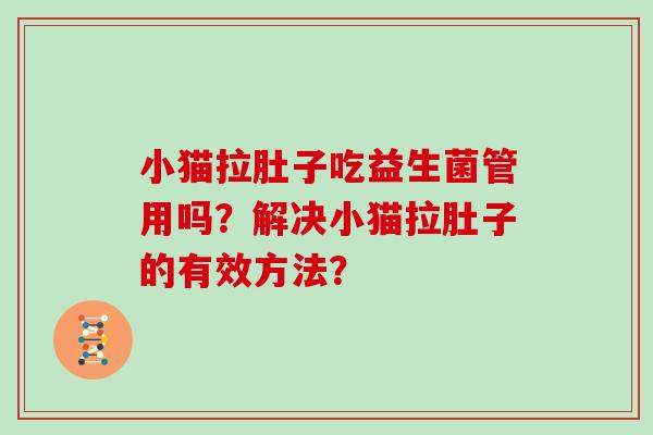 小猫拉肚子吃益生菌管用吗？解决小猫拉肚子的有效方法？