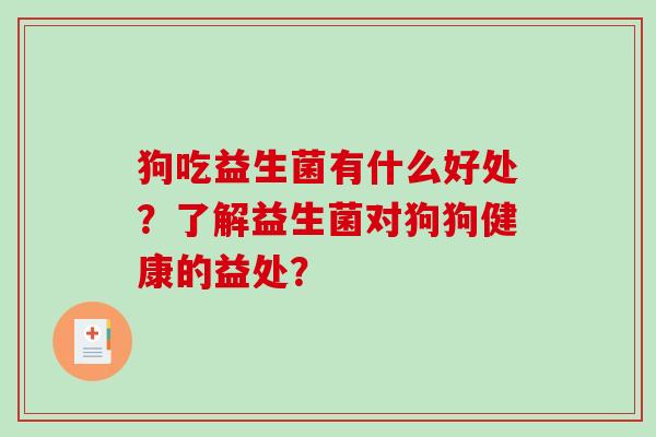 狗吃益生菌有什么好处？了解益生菌对狗狗健康的益处？