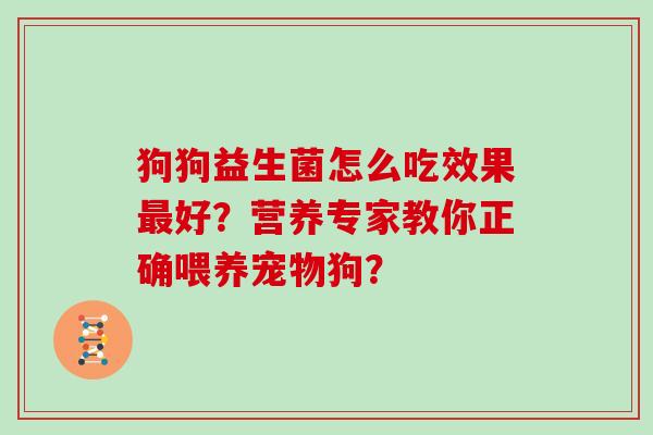狗狗益生菌怎么吃效果最好？营养专家教你正确喂养宠物狗？