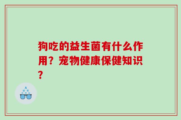 狗吃的益生菌有什么作用？宠物健康保健知识？
