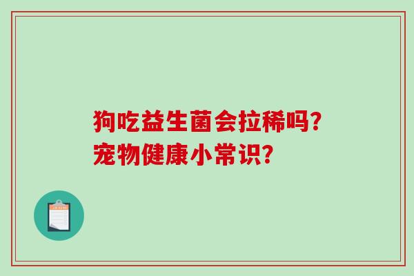 狗吃益生菌会拉稀吗？宠物健康小常识？