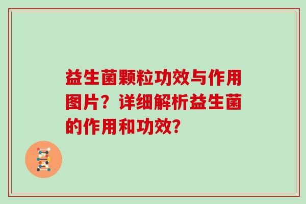 益生菌颗粒功效与作用图片？详细解析益生菌的作用和功效？