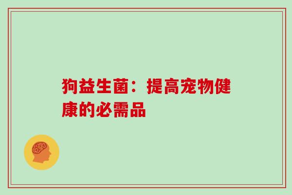 狗益生菌：提高宠物健康的必需品