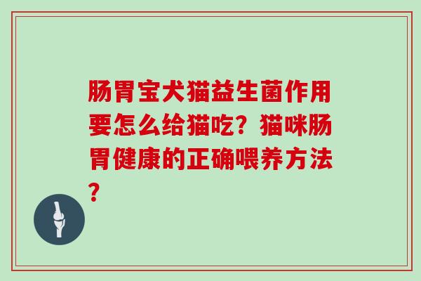 肠胃宝犬猫益生菌作用要怎么给猫吃？猫咪肠胃健康的正确喂养方法？