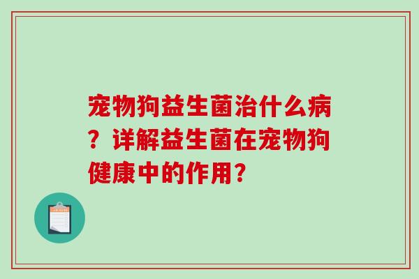 宠物狗益生菌治什么病？详解益生菌在宠物狗健康中的作用？