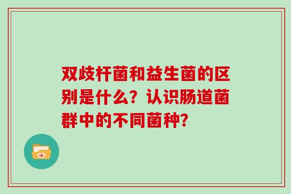 双歧杆菌和益生菌的区别是什么？认识肠道菌群中的不同菌种？