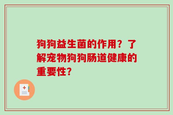狗狗益生菌的作用?了解宠物狗狗肠道健康的重要性? 狗狗益生菌的作用?了解宠物狗狗肠道健康的重要性?