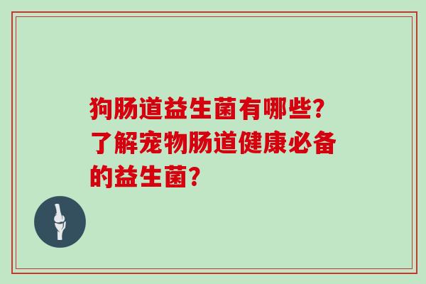狗肠道益生菌有哪些?了解宠物肠道健康必备的益生菌? 狗肠道益生菌有哪些?了解宠物肠道健康必备的益生菌?