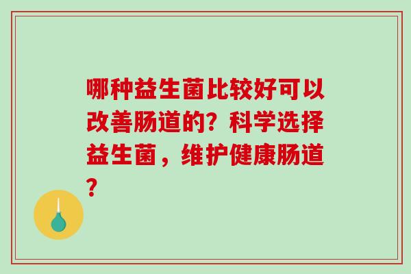 哪种益生菌比较好可以改善肠道的？科学选择益生菌，维护健康肠道？