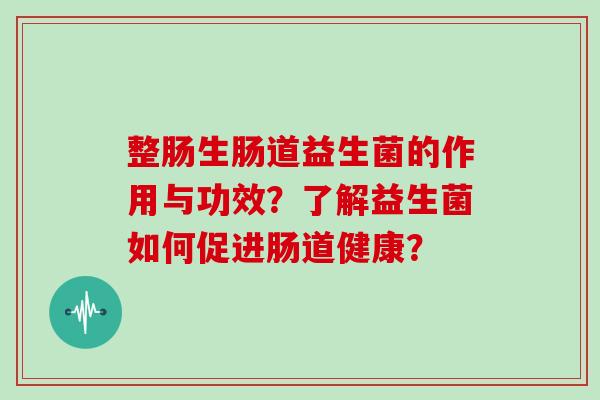 整肠生肠道益生菌的作用与功效？了解益生菌如何促进肠道健康？