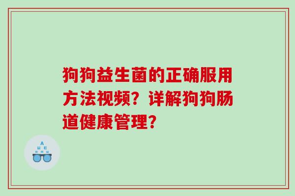 狗狗益生菌的正确服用方法视频？详解狗狗肠道健康管理？