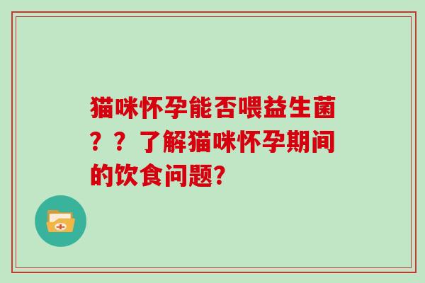 猫咪怀孕能否喂益生菌？？了解猫咪怀孕期间的饮食问题？