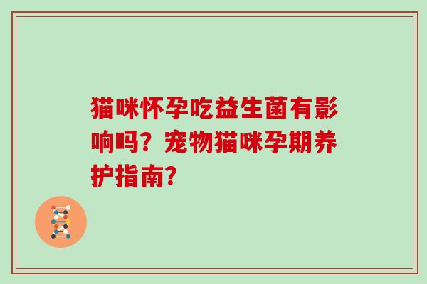 猫咪怀孕吃益生菌有影响吗？宠物猫咪孕期养护指南？