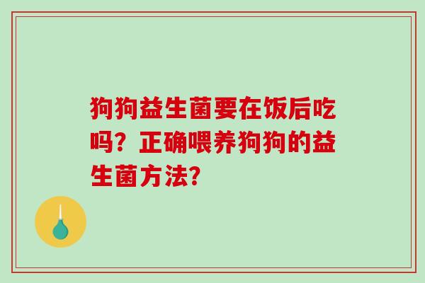 狗狗益生菌要在饭后吃吗？正确喂养狗狗的益生菌方法？