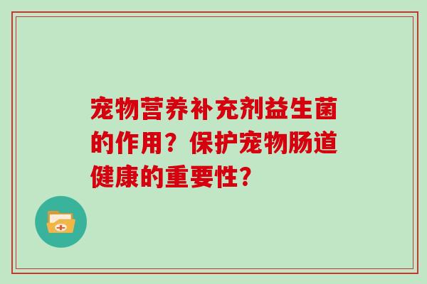 宠物营养补充剂益生菌的作用？保护宠物肠道健康的重要性？