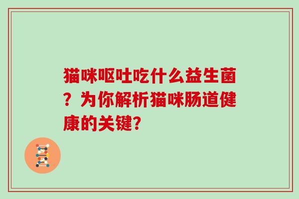 猫咪吃什么益生菌？为你解析猫咪肠道健康的关键？