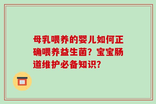 母乳喂养的婴儿如何正确喂养益生菌？宝宝肠道维护必备知识？