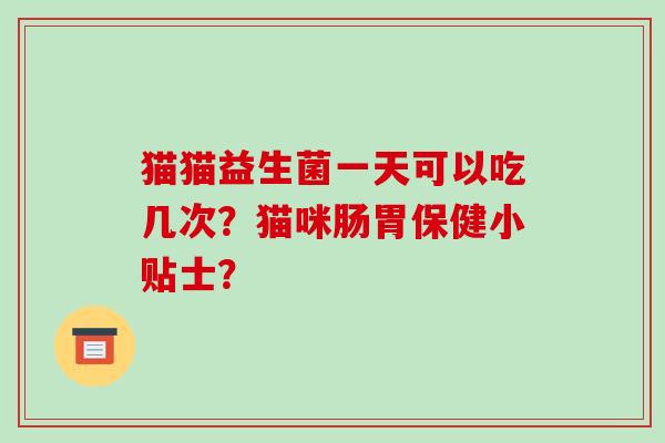 猫猫益生菌一天可以吃几次？猫咪肠胃保健小贴士？