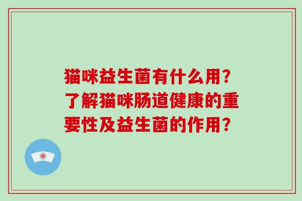 猫咪益生菌有什么用？了解猫咪肠道健康的重要性及益生菌的作用？