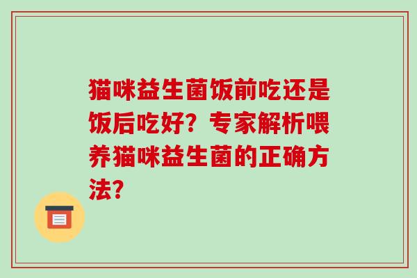 猫咪益生菌饭前吃还是饭后吃好？专家解析喂养猫咪益生菌的正确方法？