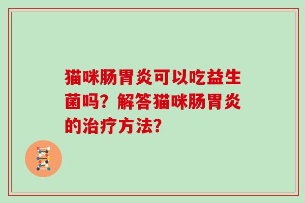 猫咪肠胃炎可以吃益生菌吗？解答猫咪肠胃炎的治疗方法？