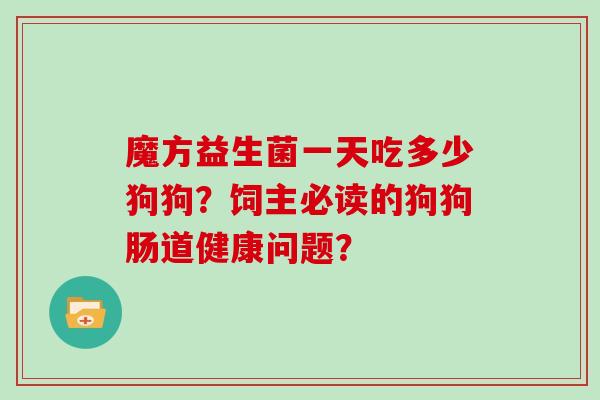 魔方益生菌一天吃多少狗狗？饲主必读的狗狗肠道健康问题？