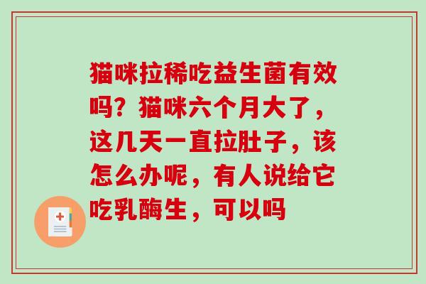 猫咪拉稀吃益生菌有效吗？猫咪六个月大了，这几天一直拉肚子，该怎么办呢，有人说给它吃乳酶生，可以吗