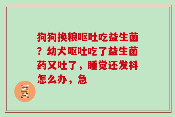 狗狗换粮吃益生菌?幼犬吃了益生菌药又吐了,睡觉还发抖怎么办,急 狗狗换粮吃益生菌?幼犬吃了益生菌药又吐了,睡觉还发抖怎么办,急