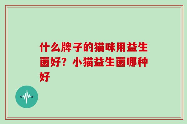 什么牌子的猫咪用益生菌好?小猫益生菌哪种好 什么牌子的猫咪用益生菌好?小猫益生菌哪种好