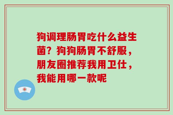 狗调理肠胃吃什么益生菌？狗狗肠胃不舒服，朋友圈推荐我用卫仕，我能用哪一款呢