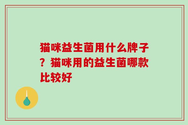 猫咪益生菌用什么牌子？猫咪用的益生菌哪款比较好