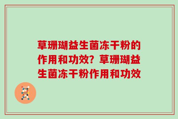 草珊瑚益生菌冻干粉的作用和功效？草珊瑚益生菌冻干粉作用和功效