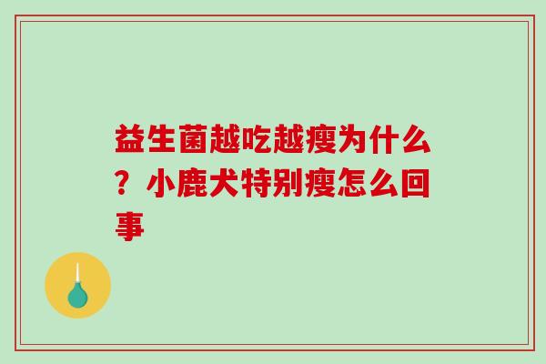 益生菌越吃越瘦为什么？小鹿犬特别瘦怎么回事