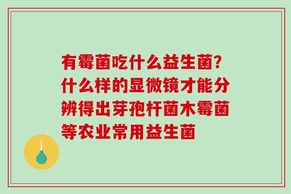有霉菌吃什么益生菌？什么样的显微镜才能分辨得出芽孢杆菌木霉菌等农业常用益生菌