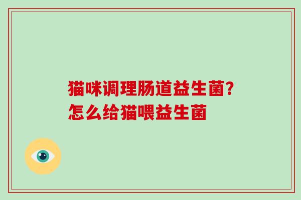 猫咪调理肠道益生菌？怎么给猫喂益生菌
