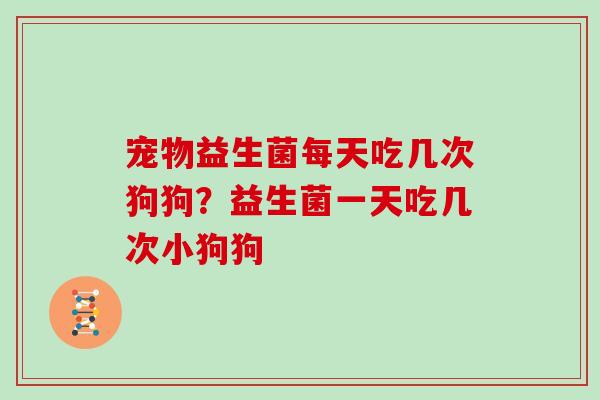 宠物益生菌每天吃几次狗狗?益生菌一天吃几次小狗狗 宠物益生菌每天吃几次狗狗?益生菌一天吃几次小狗狗