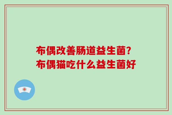 布偶改善肠道益生菌？布偶猫吃什么益生菌好