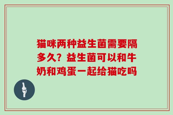 猫咪两种益生菌需要隔多久？益生菌可以和牛奶和鸡蛋一起给猫吃吗