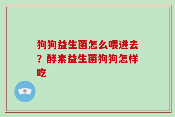 狗狗益生菌怎么喂进去？酵素益生菌狗狗怎样吃