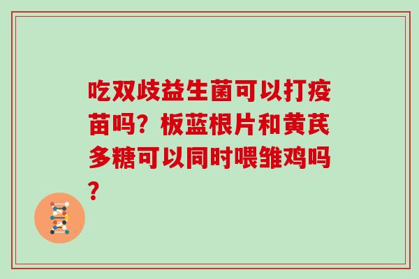 吃双歧益生菌可以打疫苗吗？板蓝根片和黄芪多糖可以同时喂雏鸡吗？