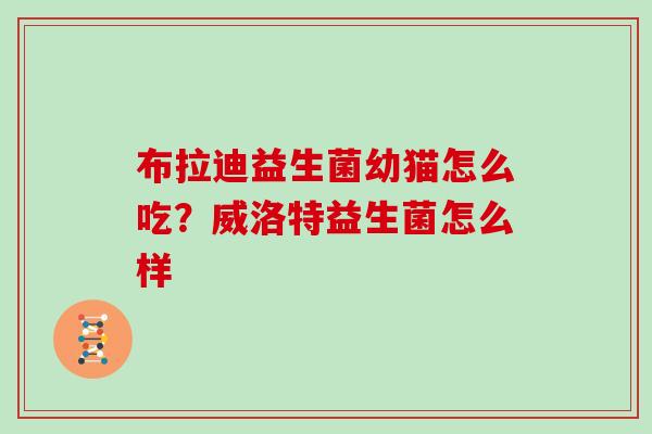 布拉迪益生菌幼猫怎么吃？威洛特益生菌怎么样